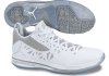 jordan-cp3.v-white-metallic-silver-counterkicks.com_.jpg