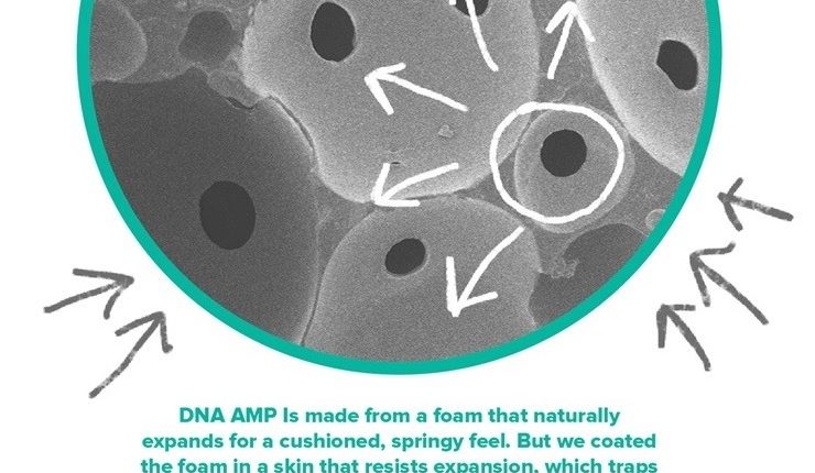 BROOKS DNA AMP