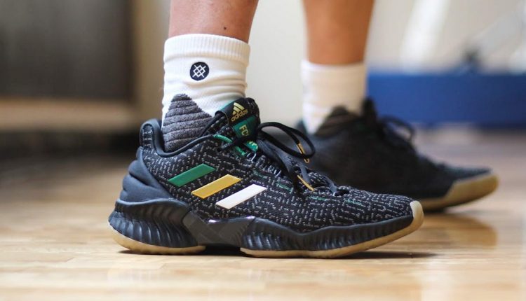 adidas Pro Bounce Low PE Jaylen Brown noahchen review