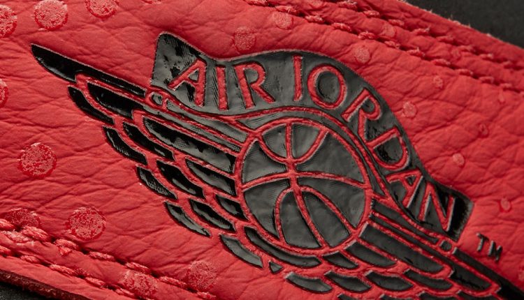 Air Jordan 1 Retro High OG Origin Story (8)