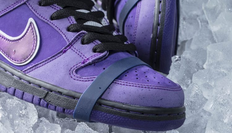 concepts-purple-lobster-nike-sb-dunk-6
