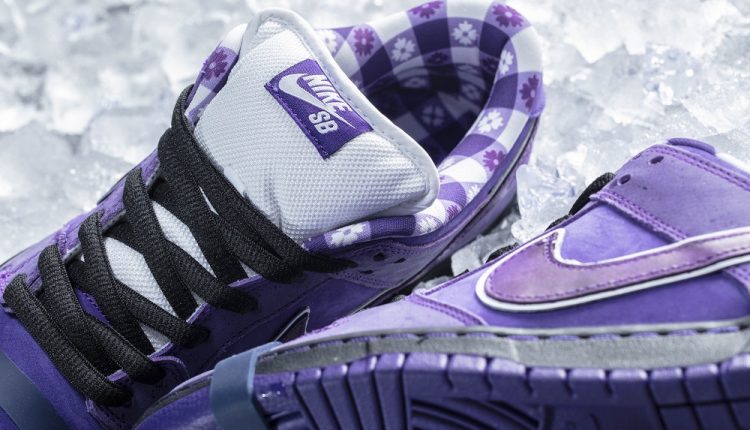 concepts-purple-lobster-nike-sb-dunk-7
