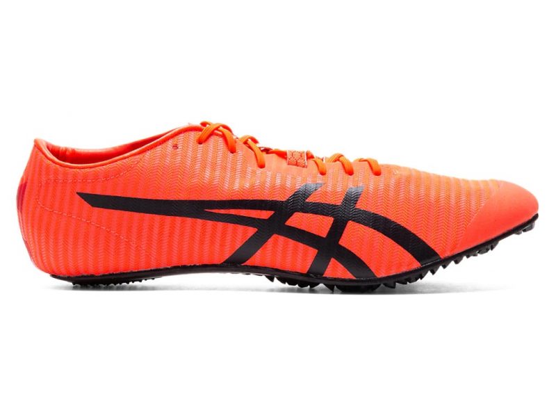 metaracer release date