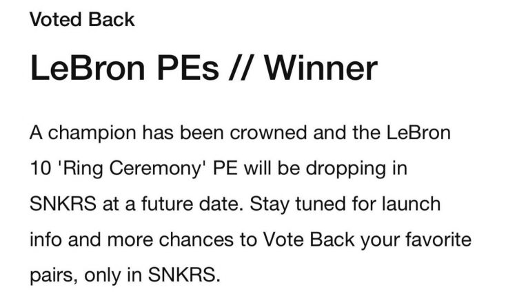 nike-lebron-pes-wote-back-winner (2)