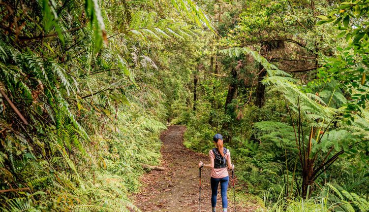 Salomon OUTpulse GTX taiwan