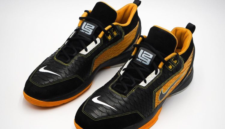 tyrese-haliburton-nike-kobe-6-x-air-zoom-grneration-made-by-kota-kustoms (3)