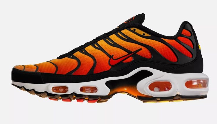 nike air max plus (2)