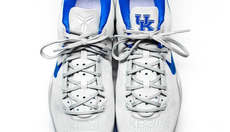 nike-kobe-8-protro-kentucky-pe (3)