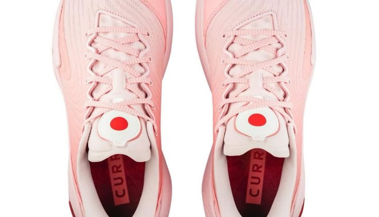 keisei-tominaga-curry-12-sakura-release-news-9