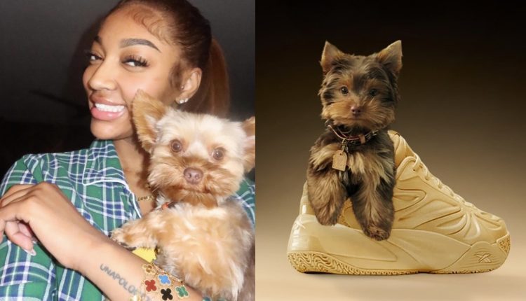 reebok-angel-reese-1-king-tiago-reese-1